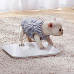 Xiaomi Smart Scale 2 White