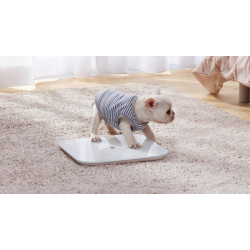 Xiaomi Smart Scale 2 White