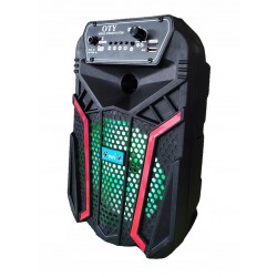 Ηχείο Με Μικρόφωνο OTY 611