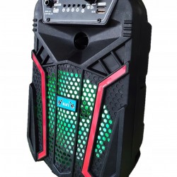 Ηχείο Με Μικρόφωνο OTY 611