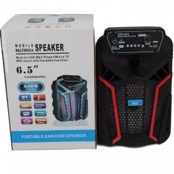 Ηχείο Με Μικρόφωνο OTY 611